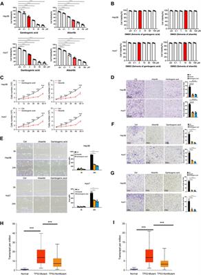 Corrigendum: Single-cell RNA sequencing reveals the role of phosphorylation-related genes in hepatocellular carcinoma stem cells